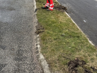 Classic Race - Viborg